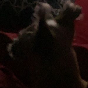 Meet your Posher, Elias